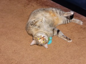 DSC00097
