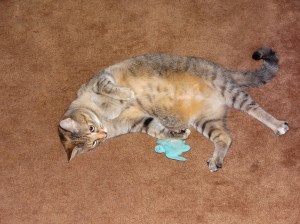 DSC00100