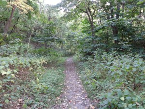 DSC04961