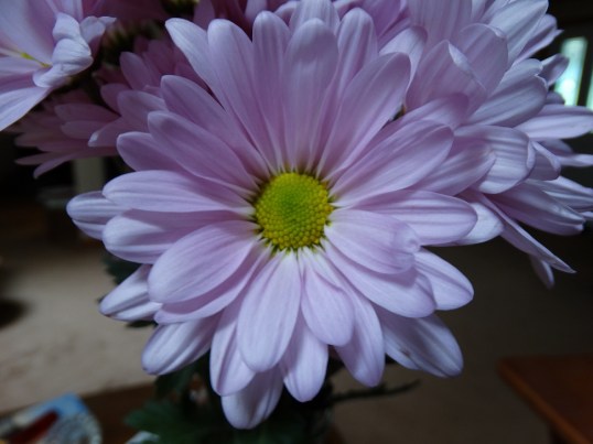 DSC02690-2