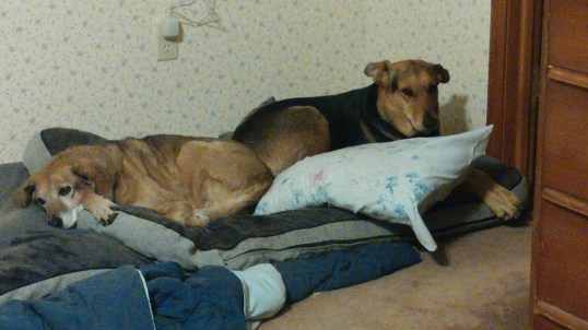 bed time