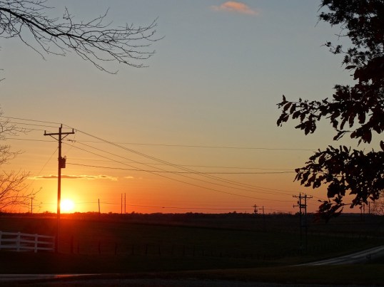 DSC02875-2