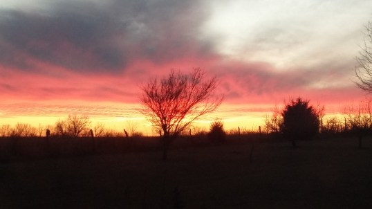 sunset 12-28 2