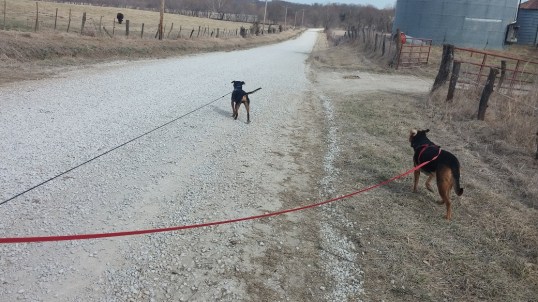 first walk 1