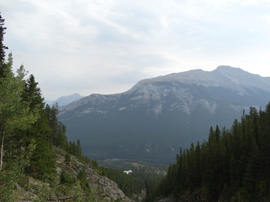 DSC03336-2