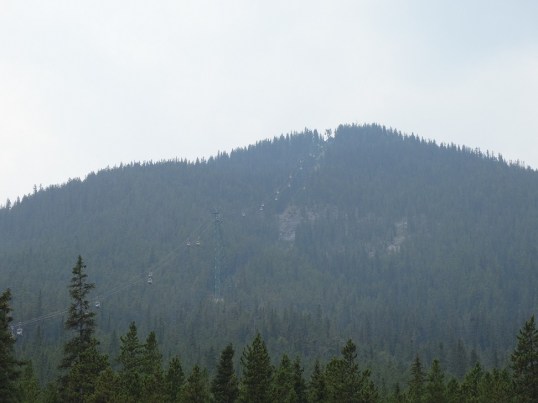 DSC03368-2