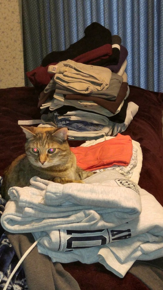 closet cleaning-2