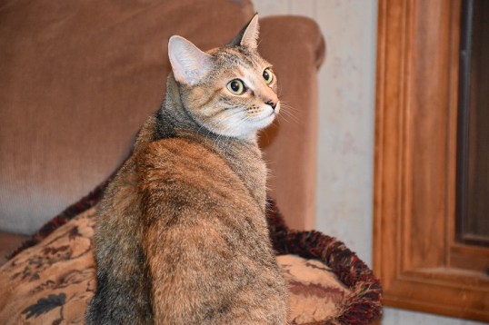 dsc_0018-2