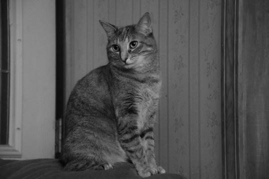 dsc_0033-2