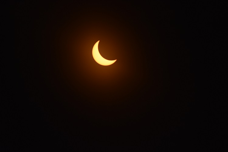 DSC_0447-2