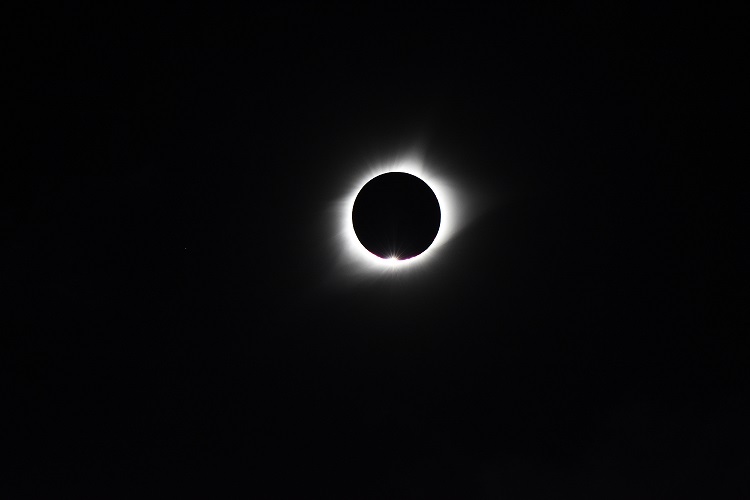DSC_0512-2