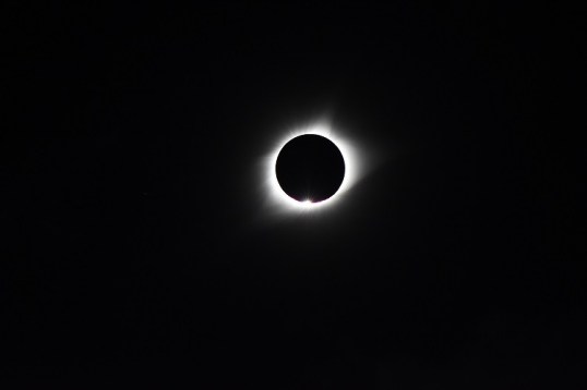 DSC_0512-2