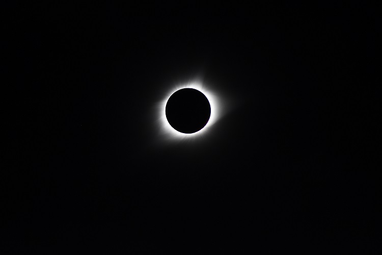 DSC_0523-2