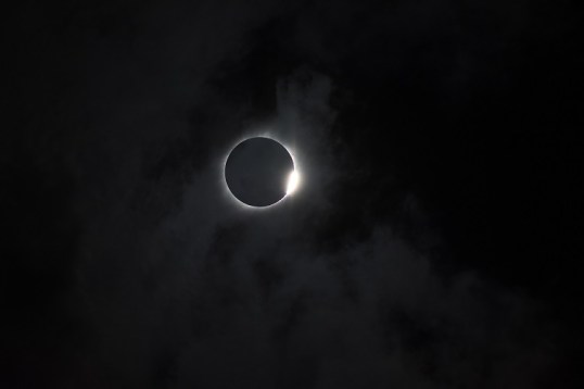 DSC_0528-2