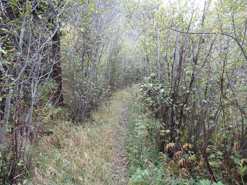 DSC07318-2
