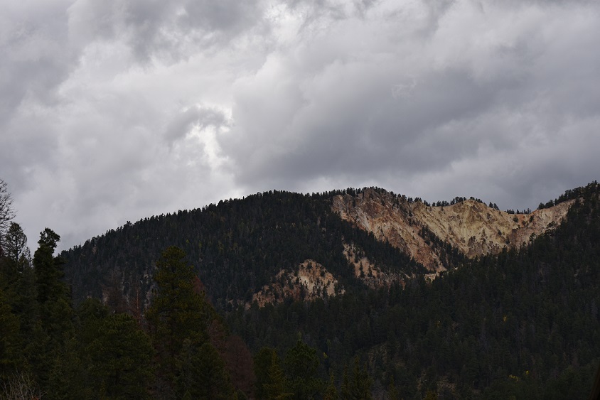 DSC_0573-2