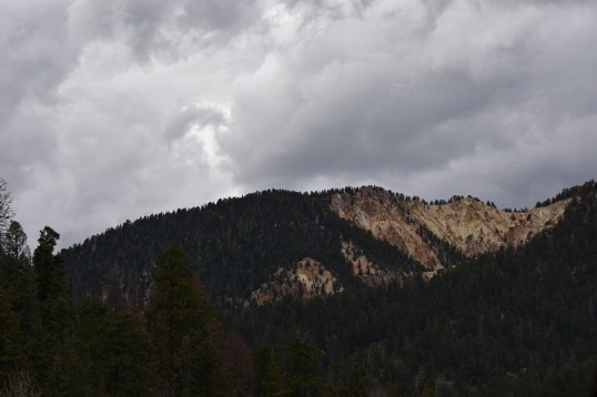 DSC_0573-2